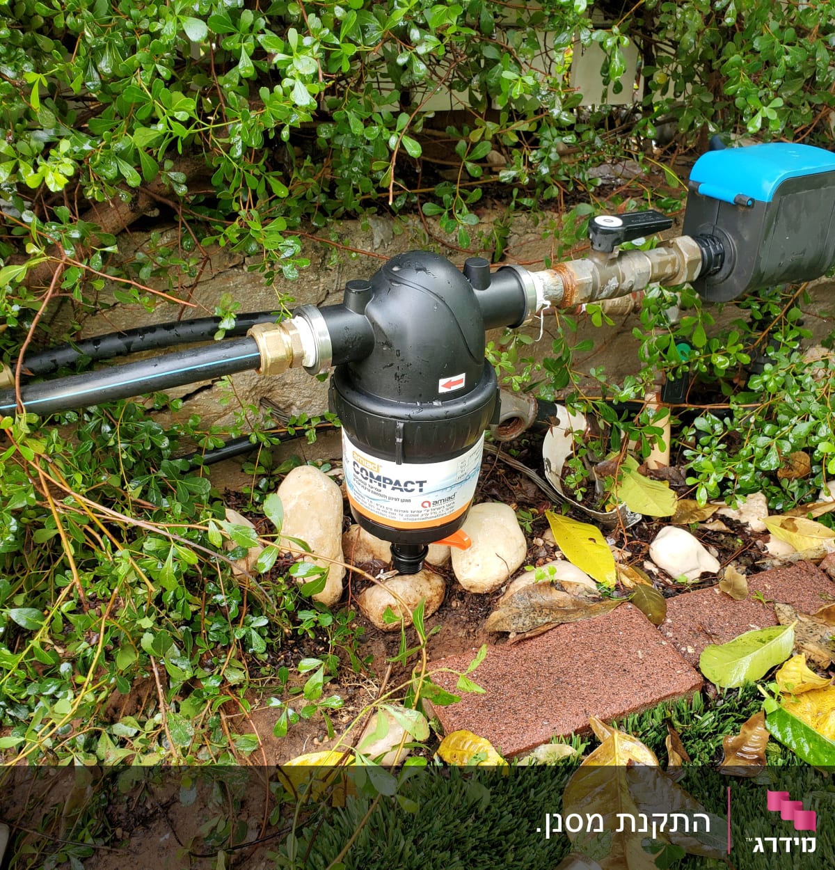 מסנן מים מחובר לצינור בגינה עם עלים מסביב